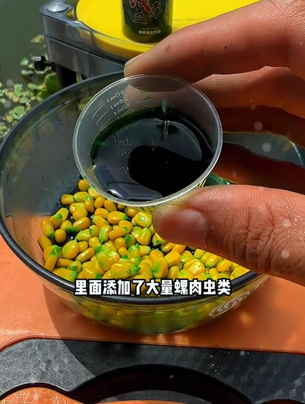 玉米钓草鱼,为什么别人爆护自己空军,这1点他做对了!