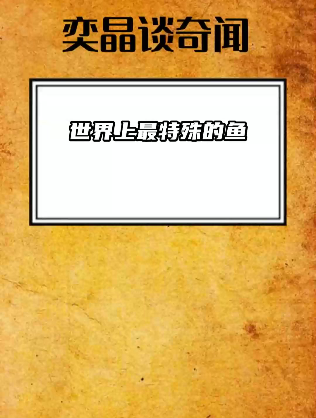 世界上最特殊的鱼
