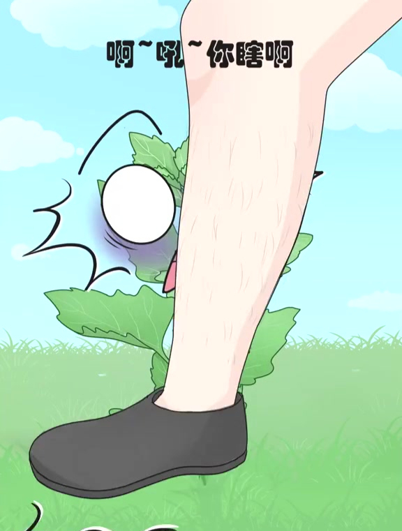 灰灰菜报仇,一顿饭不晚