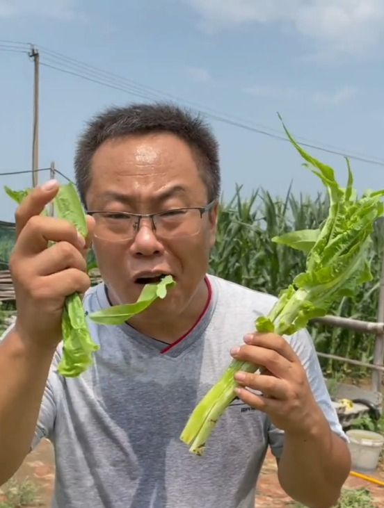 茎秆想要长得粗壮,种植“重点”在这里,莴笋不空心口感好!