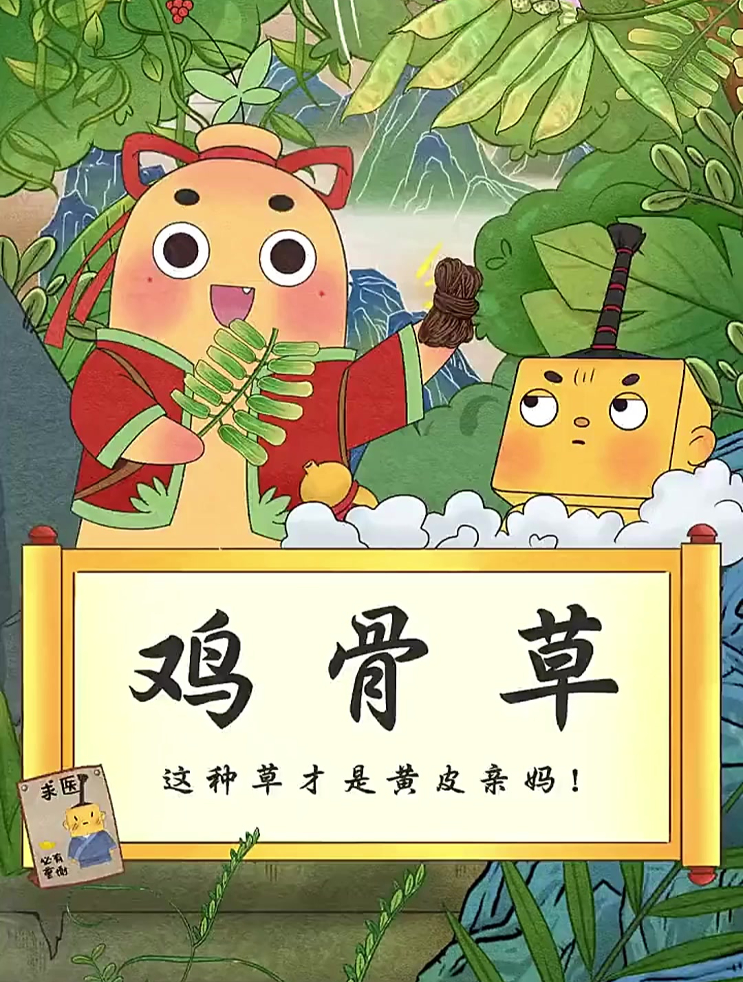 鸡骨草是黄皮的亲妈 你知道吗