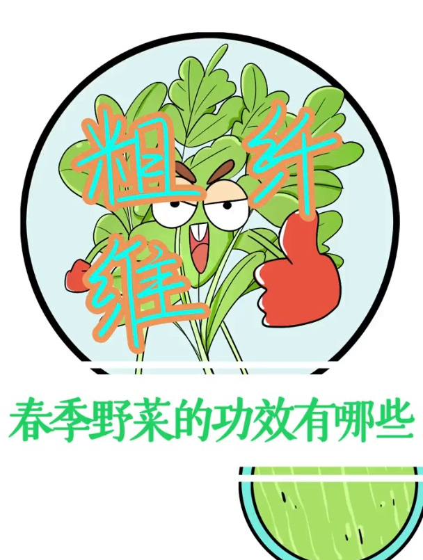 春季野菜的种类和功效有哪些?你都认识哪些