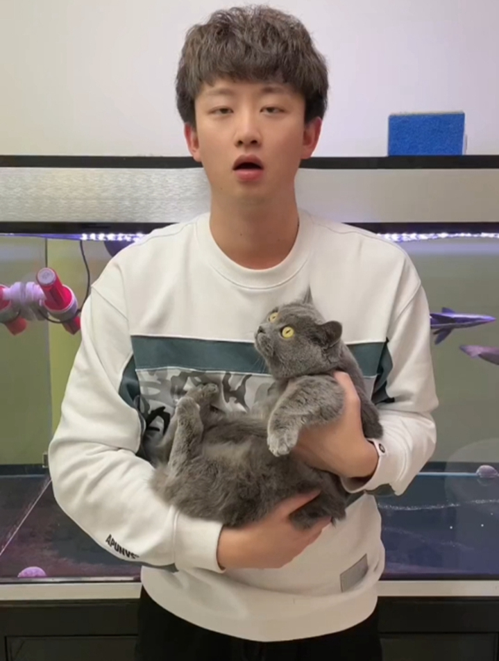雌雄同体 能改变自身性别的鱼 还真神奇