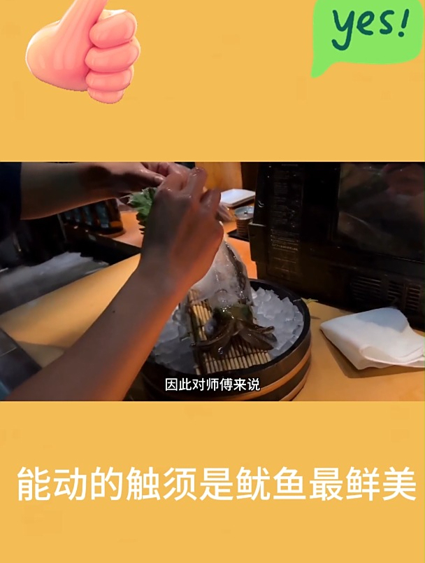 能动的触须是鱿鱼最鲜美1