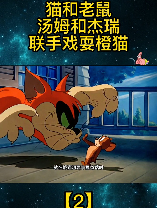 猫和老鼠:汤姆和杰瑞联手戏耍橙猫「2」