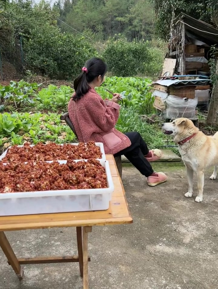 妈妈做的农家菜,有哪些是你们爱吃的呢?