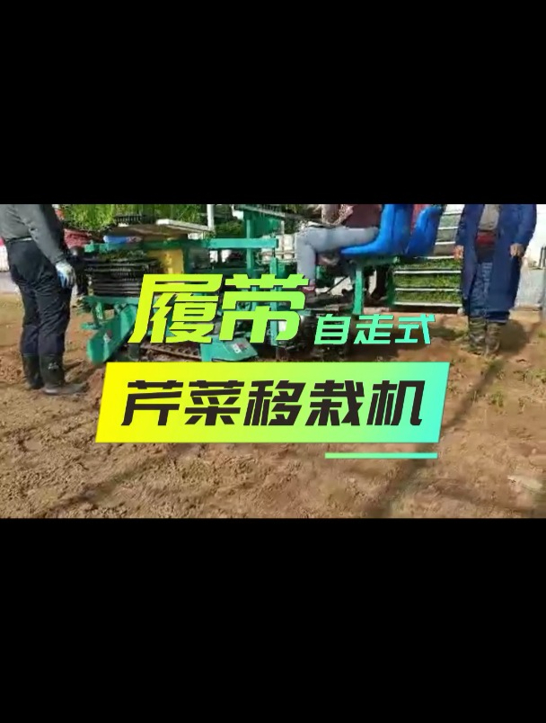 履带自走式芹菜移苗机 适用于各种小株距作物