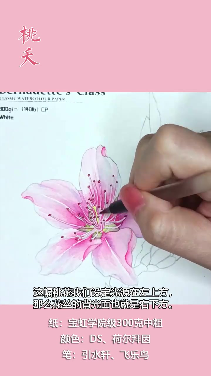 水彩手绘桃花上色小教程