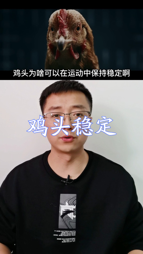 鸡头为啥可以在运动中保持稳定?