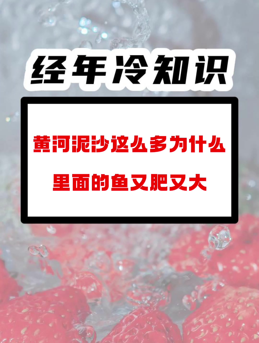 黄河泥沙这么多为什么里面的鱼又肥又大