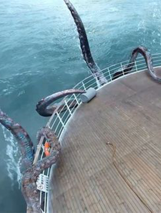 章鱼遇到海水污染变成了巨型章鲨,结果疯狂袭击人类
