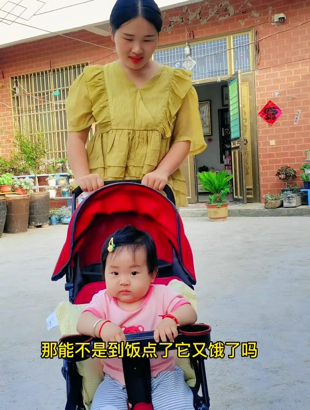 鸽子肉好不好吃煲汤还是红烧好吃大强子在我怀孕的时候养的鸽子