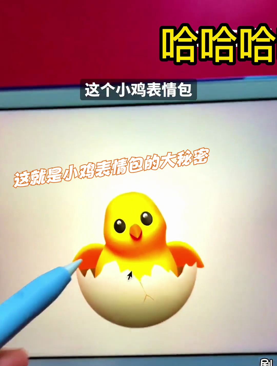 这就是小鸡表情包的大秘密