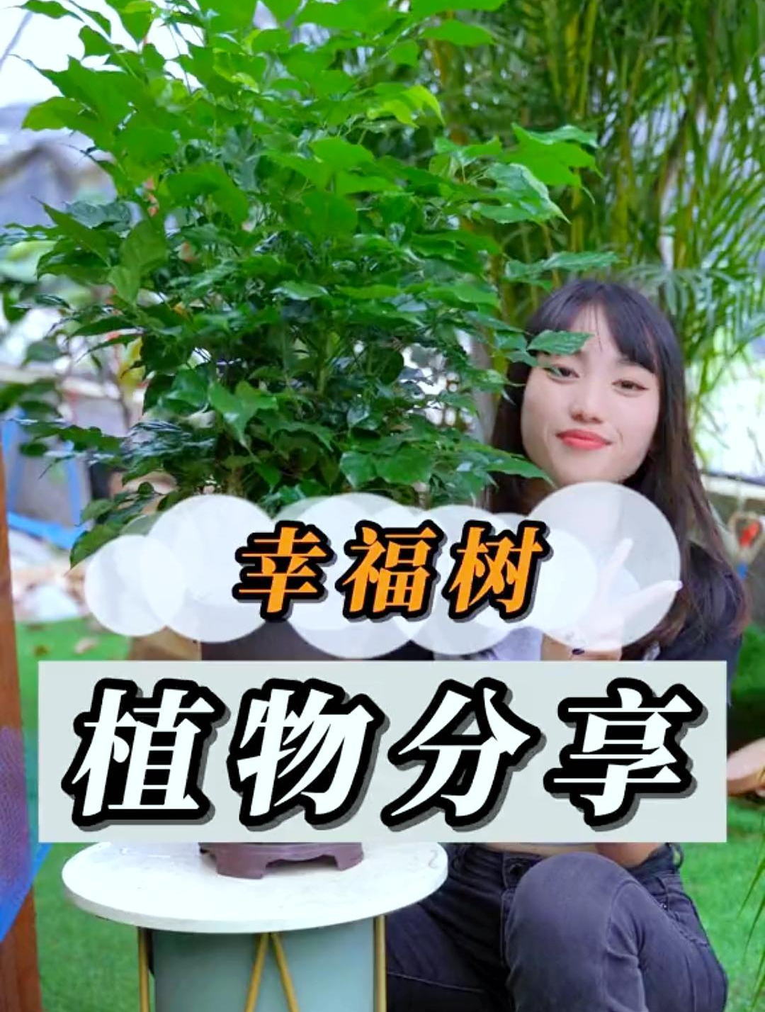 每个养花人的家里都爱养它,听说能“镇宅”,难怪深受花友喜爱!