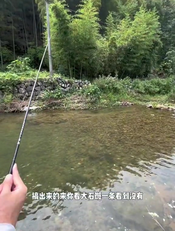 山间小溪钓石斑鱼