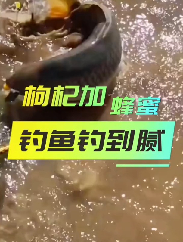 钓鱼人用枸杞来钓鱼,网友表示成本太高,钓鱼人:有效就行!