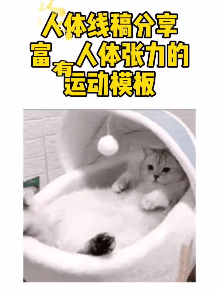 零基础动态线稿临摹必备增强画面的张力,画出来人物才会更生动