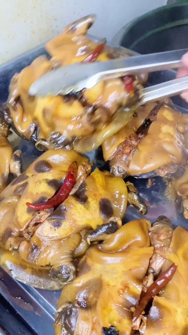 这样的甲鱼你一次能吃几个
