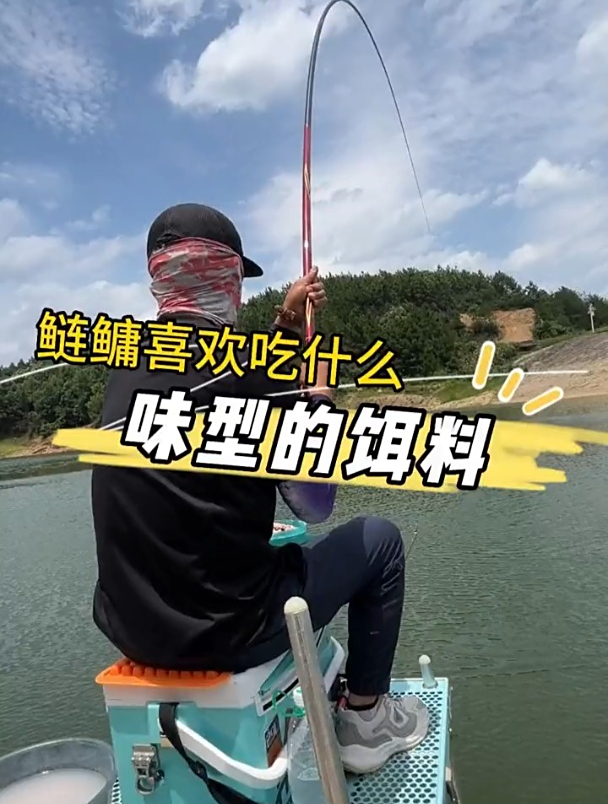 什么味道鲢鳙最喜欢?白鲢和花鲢并不一样,老钓友实测讲解!