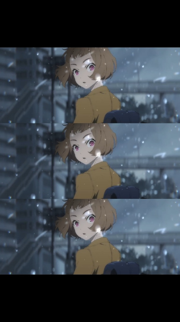 乔瑟与虎与鱼群,于2020年12月25日在日本上映