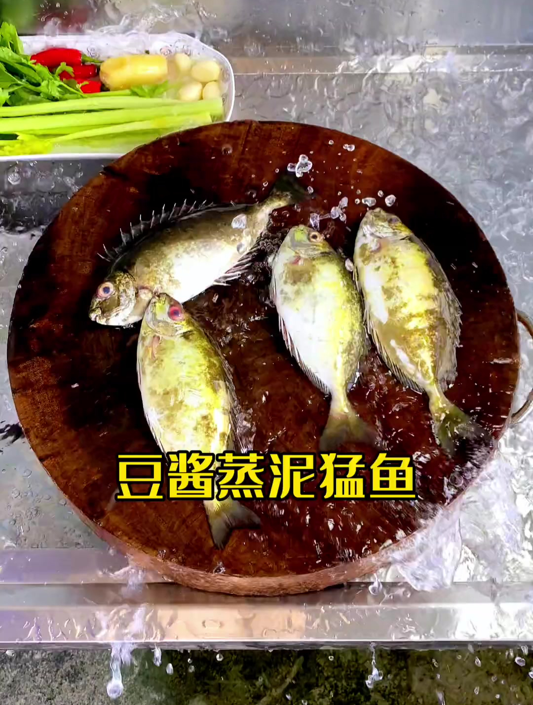 最好吃的鱼,泥猛鱼