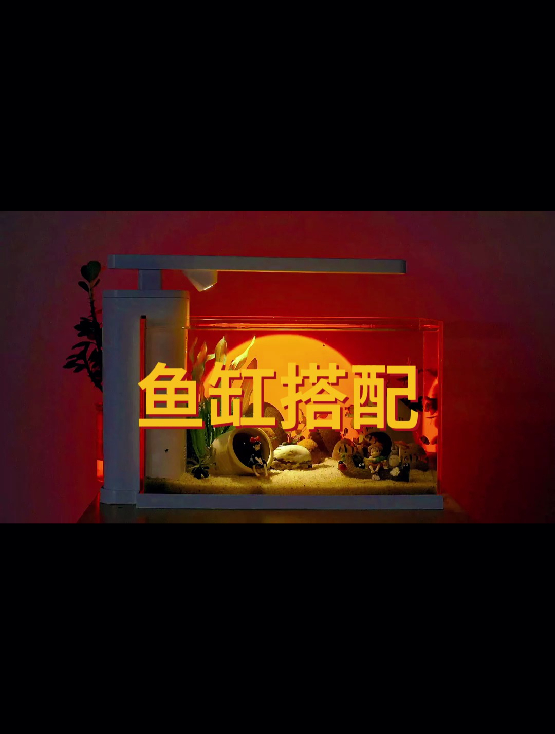 喜欢这种小鱼缸吗?像我这样搭配!
