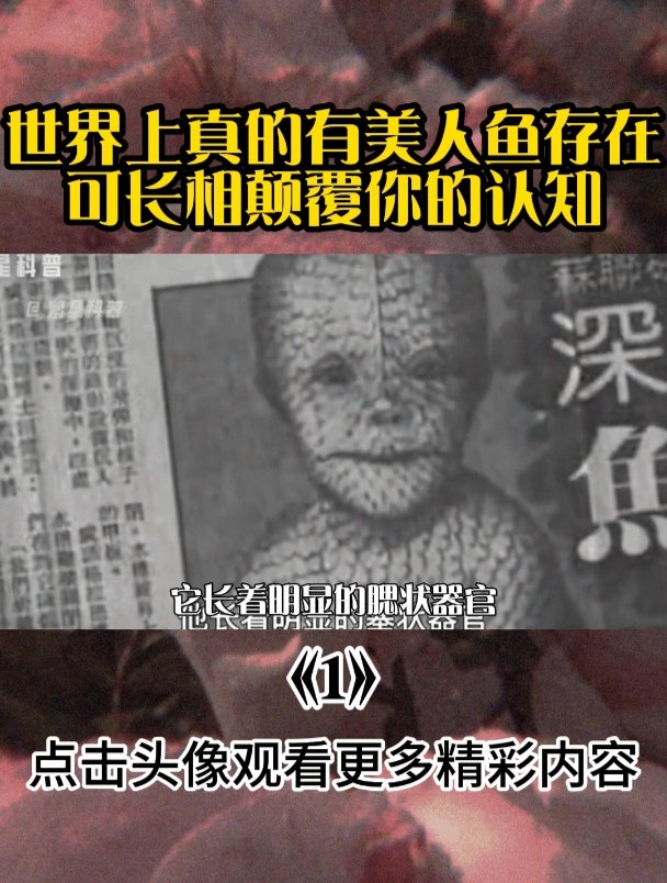 世界上真的有美人鱼存在,可长相颠覆你的认知