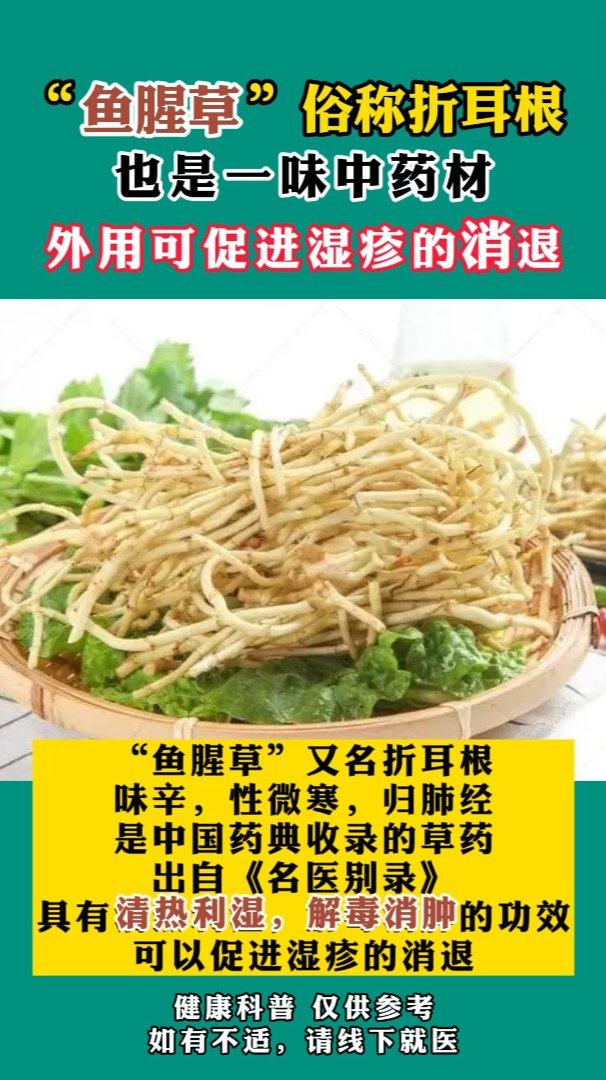 “鱼腥草”俗称折耳根,也是一位中药材
