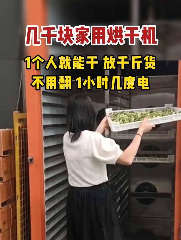 小型家用烘干机来了 瓜果蔬菜都能烘,放千斤货,操作简单还省电