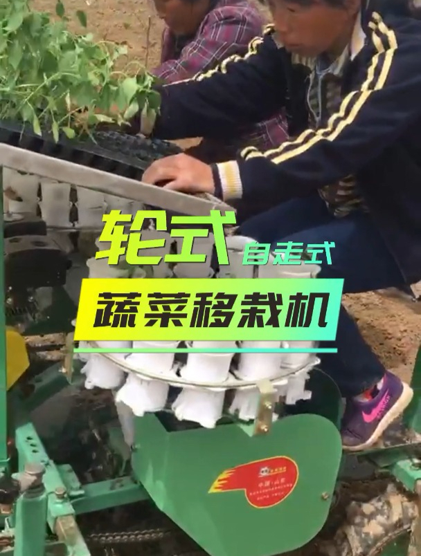自走式蔬菜移栽机 特别适用于山地 丘陵等小地块地区