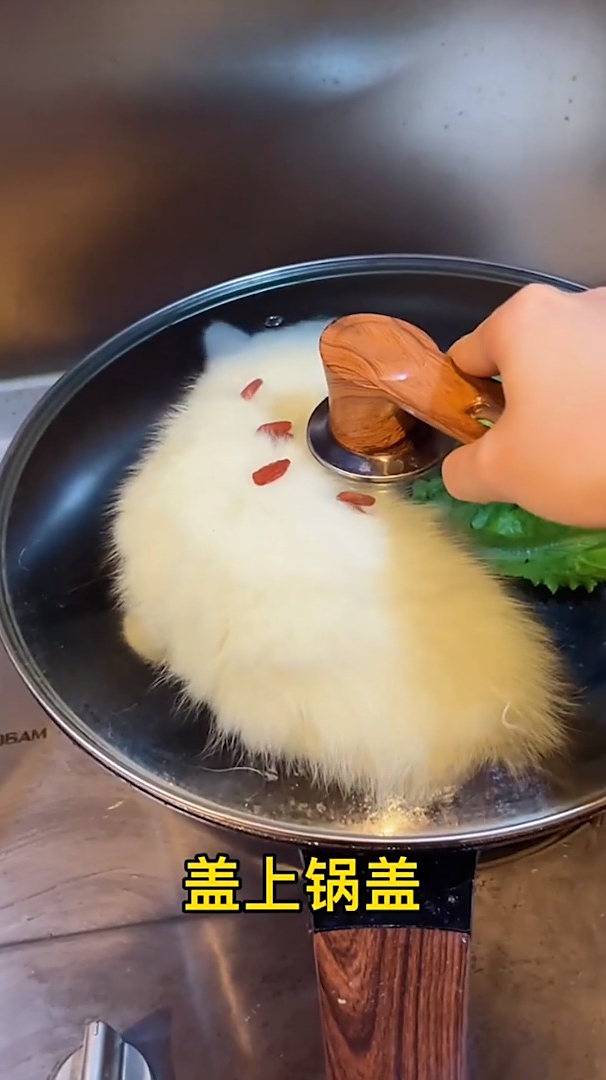 煮猫教程,猫肉怎么做比较好吃