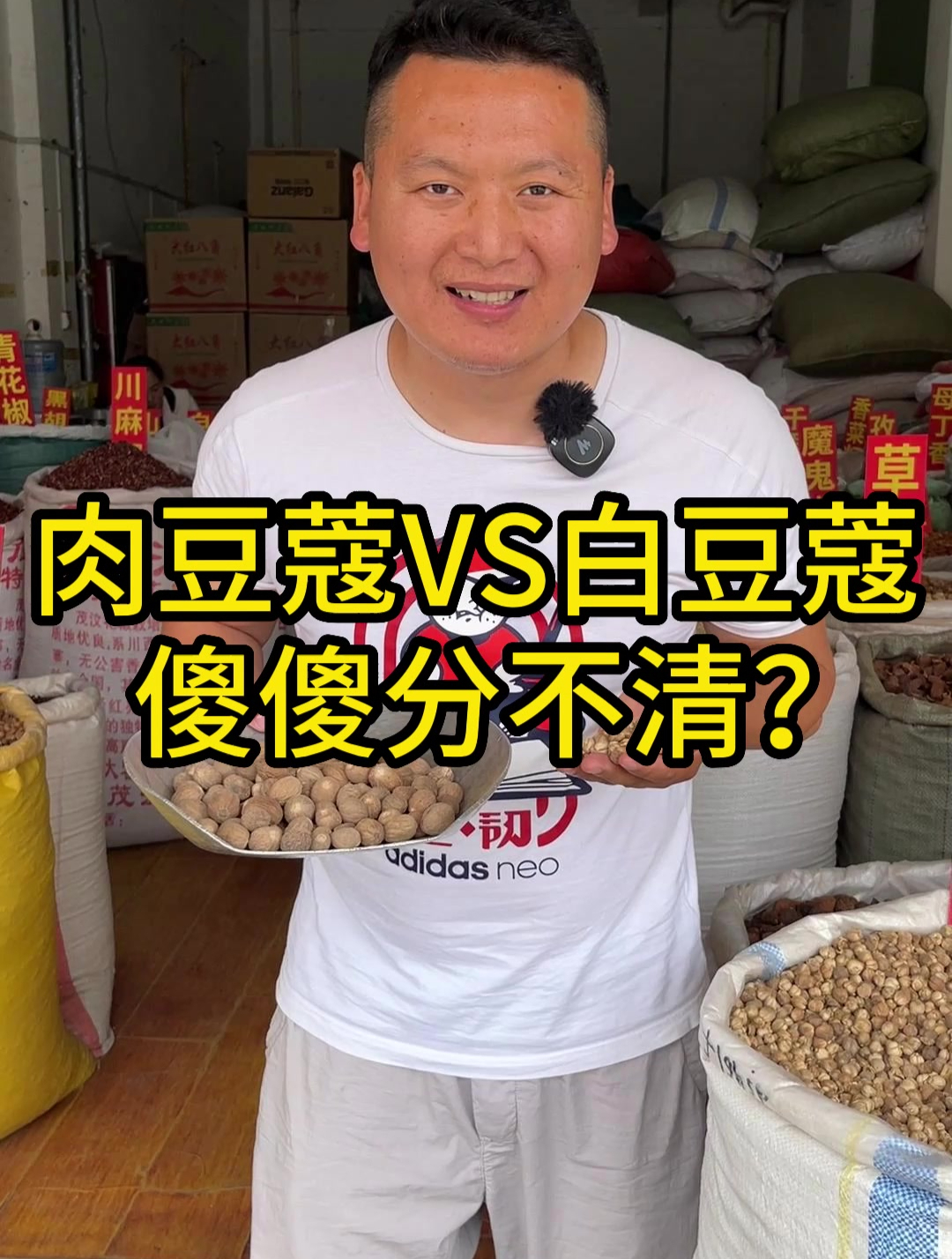 肉豆蔻和白豆蔻,你是不是傻傻分不清楚