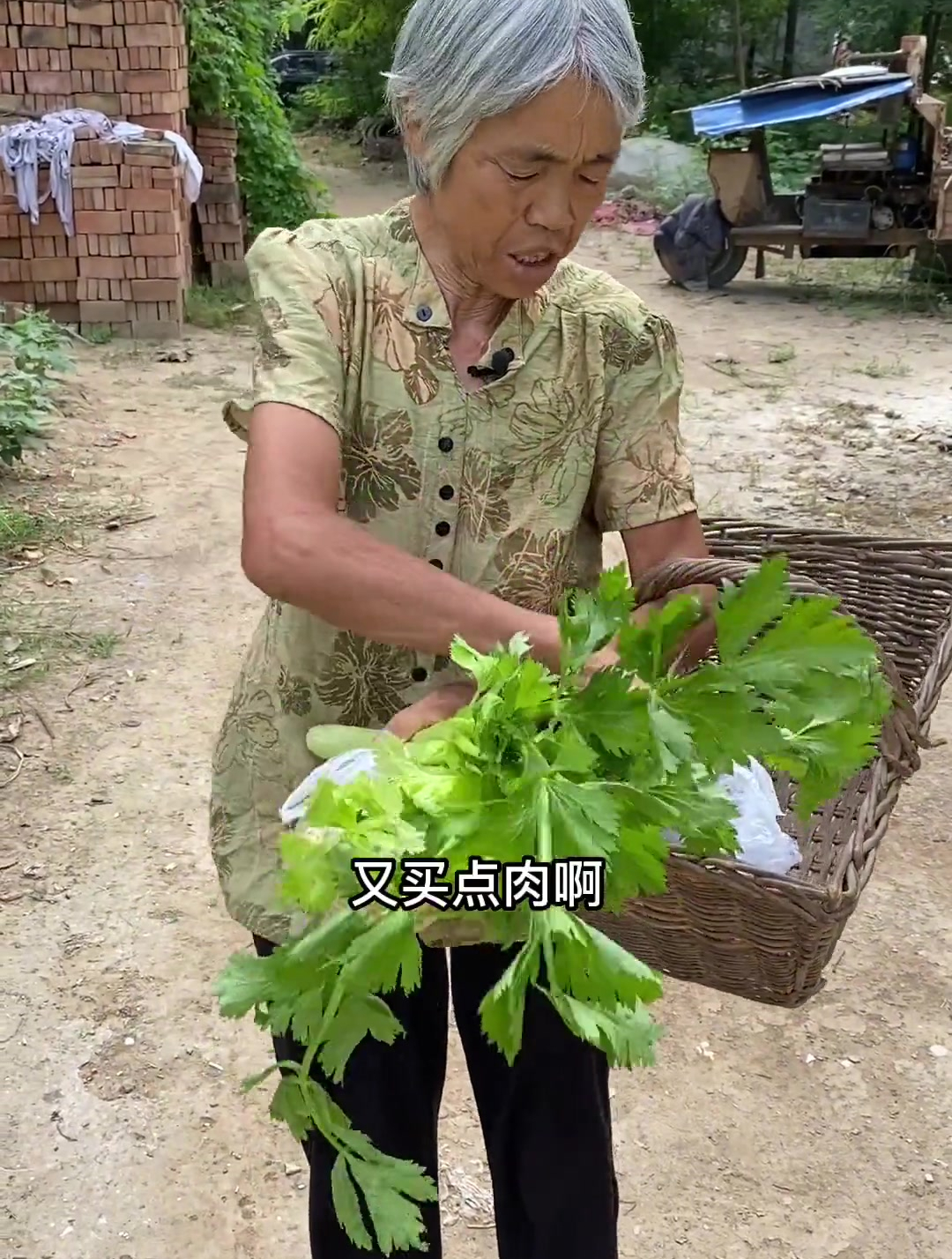 河南家乡特色美食,芹菜叶手擀肉丝面,味道鲜美,面条劲道太好吃