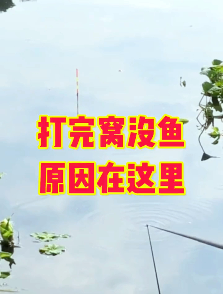 为什么你打完窝没鱼?原因在这里!