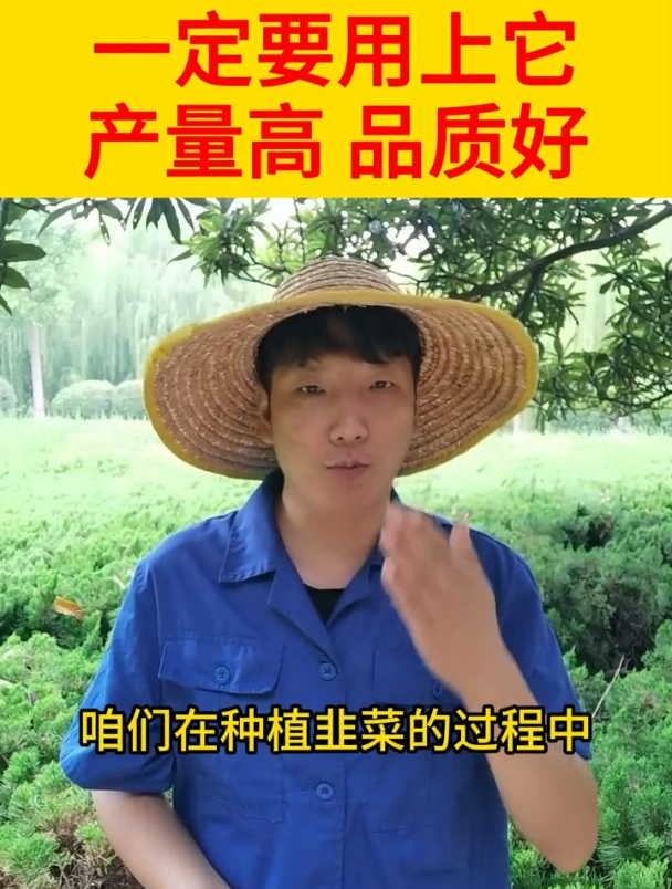 韭菜干尖黄叶,还在傻傻地施肥?