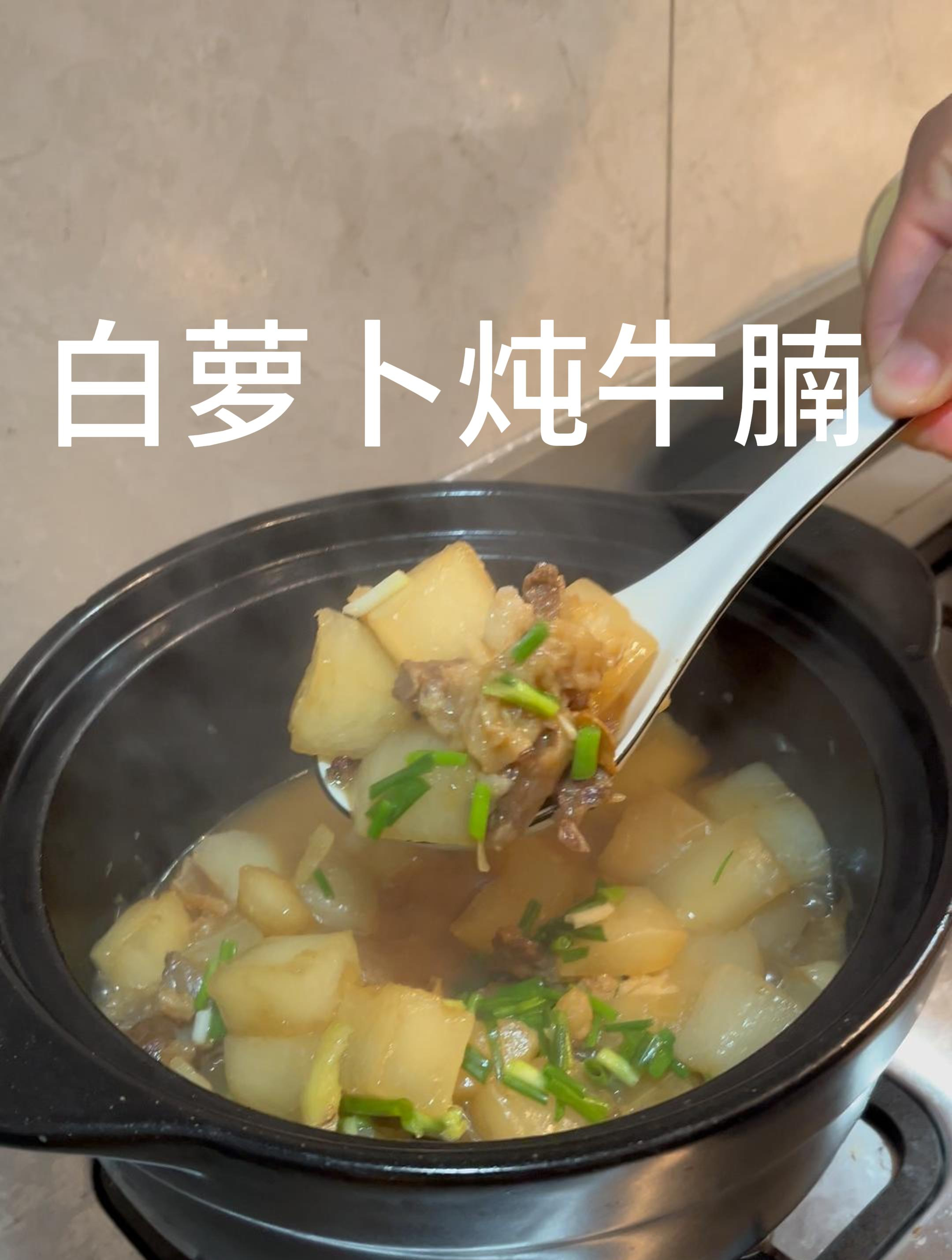白萝卜炖牛腩做法