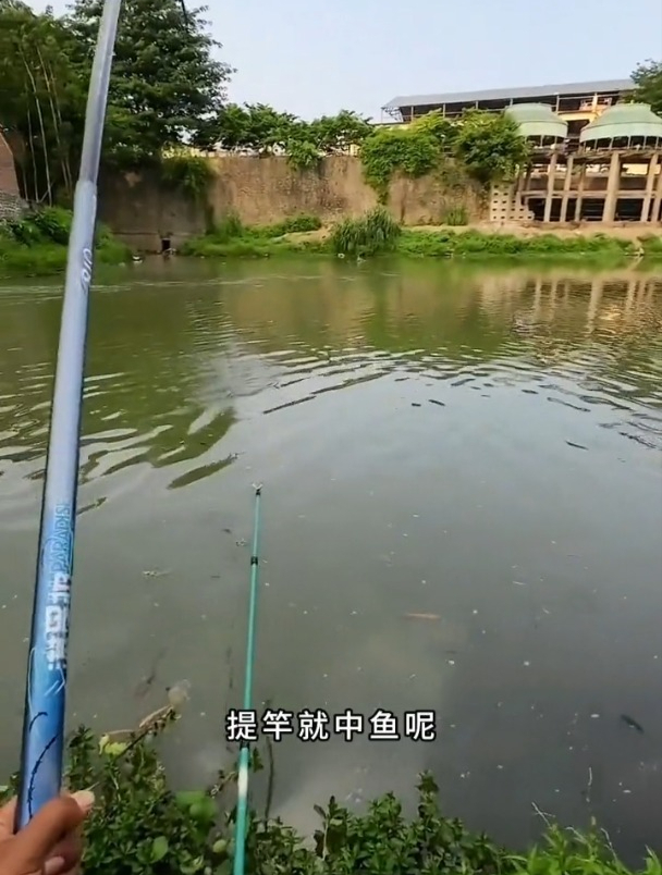 钓鱼时经常遇到走水或小鱼闹钩,老钓友分享跑铅钓法!