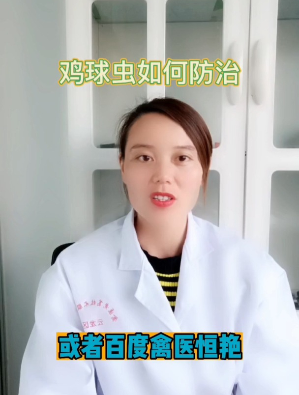 禽医恒艳谈鸡球虫的症状与解决办法