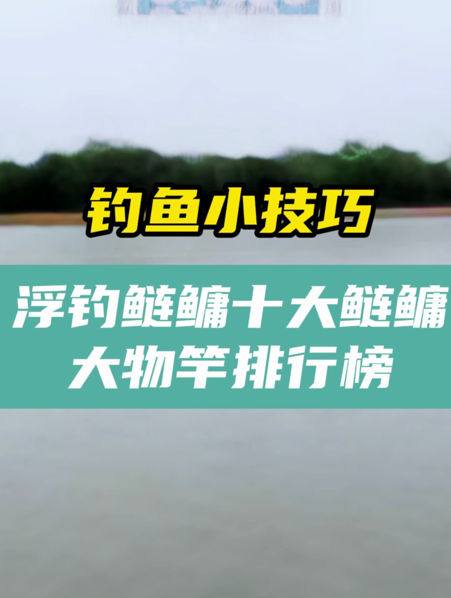 这些鱼竿你都用过吗?钓鲢鳙的武器排行你一定要看看!