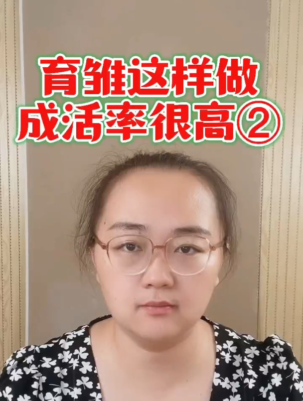 育雏这样做,成活率很高②小鸡1到7天怎样喂养?鸡雏如何饲养?