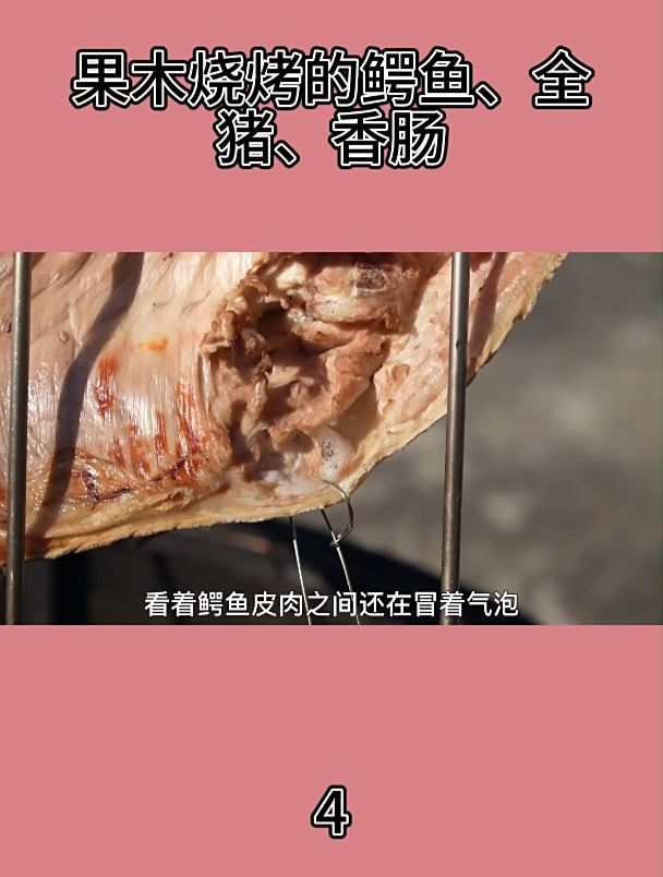 果木烧烤的鳄鱼、全猪、香肠4