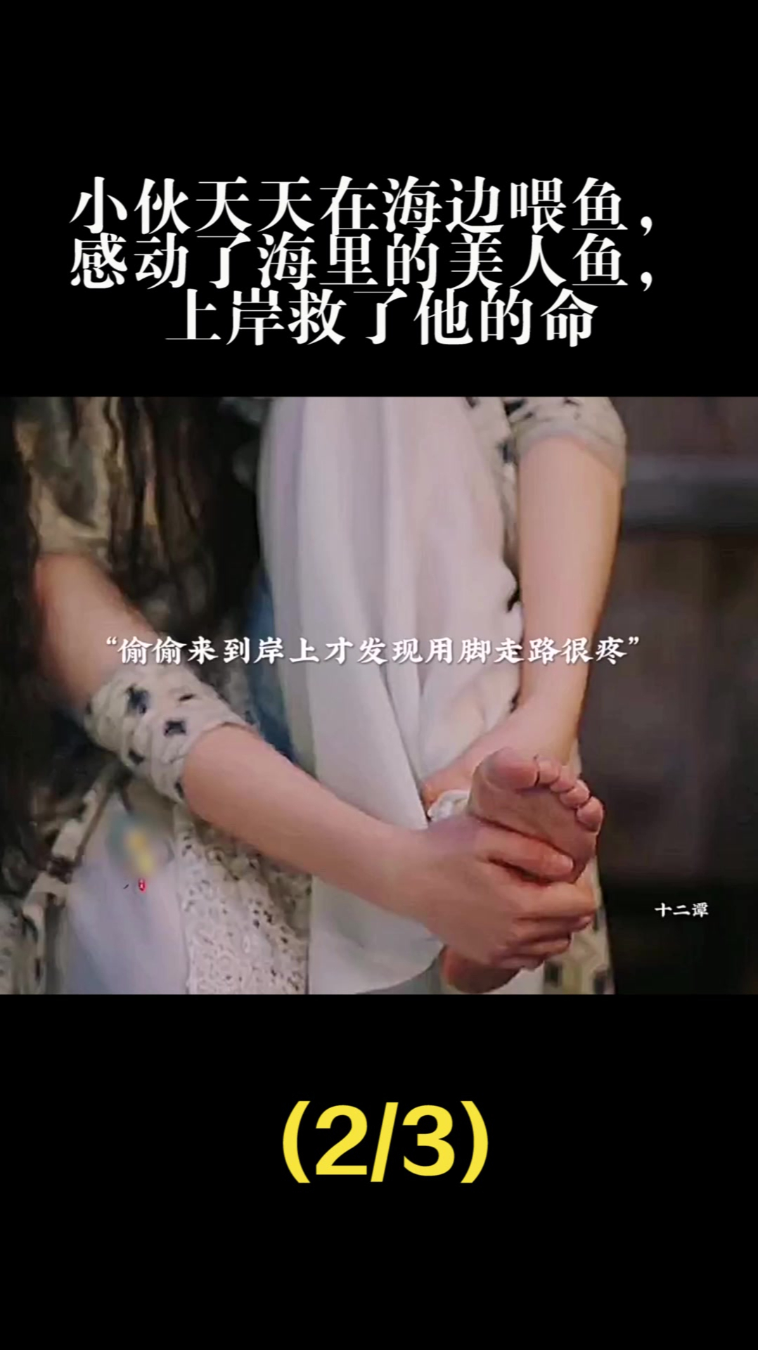 小伙天天在海边喂鱼,感动了海里的美人鱼,上岸救了他的命(2)