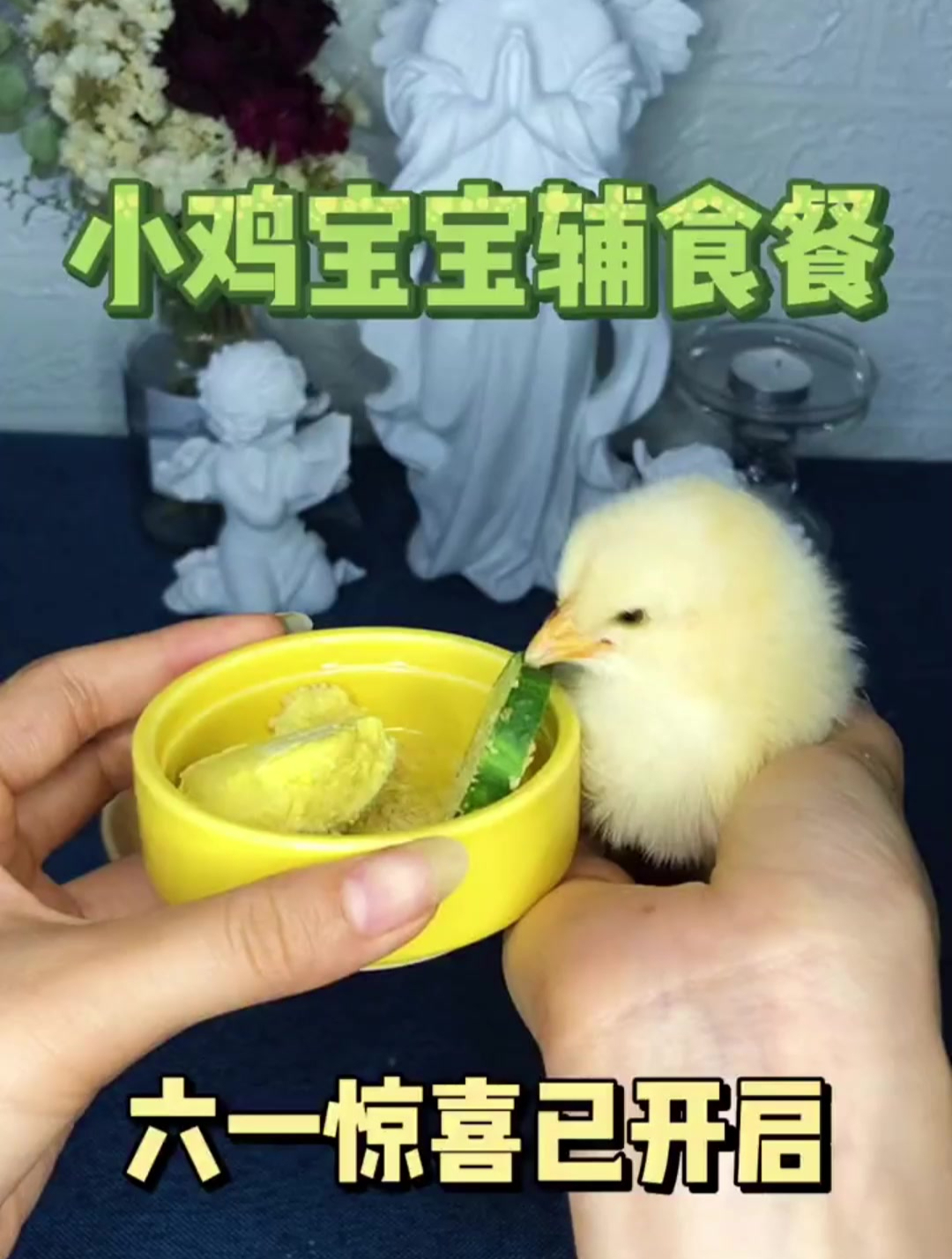 小鸡宝宝的辅食大餐