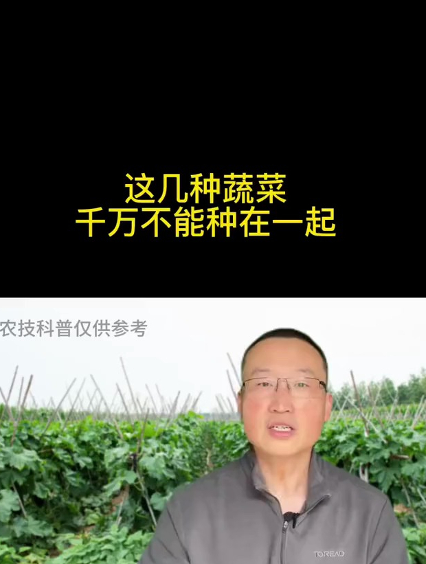 在种植技巧分享,哪些蔬菜种的时候不能种在一起。种菜的禁忌