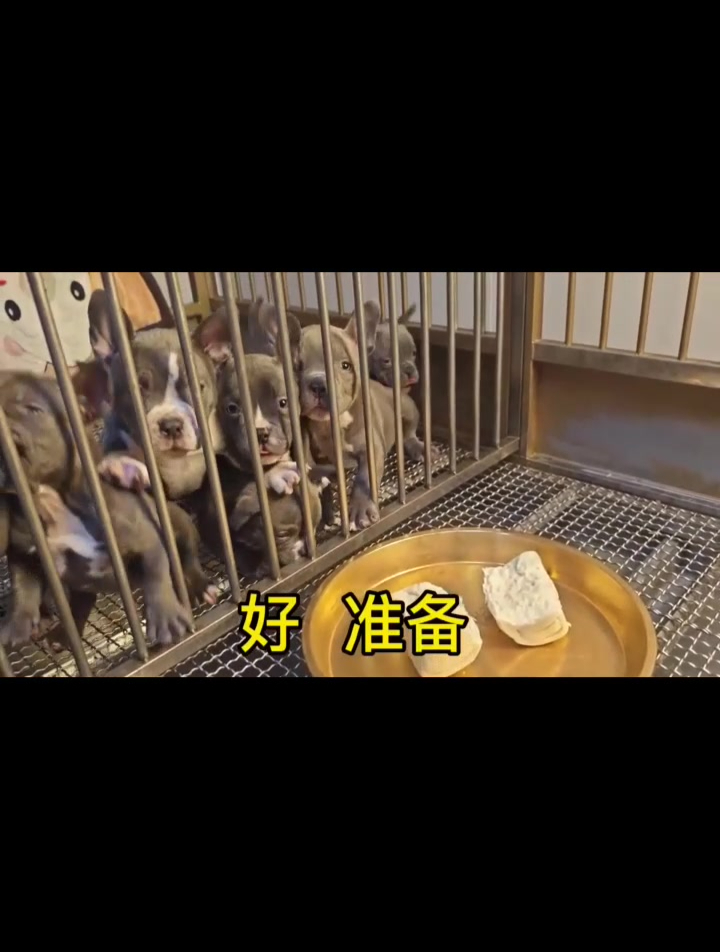 大馒头来了 大馒头照样干 好养活