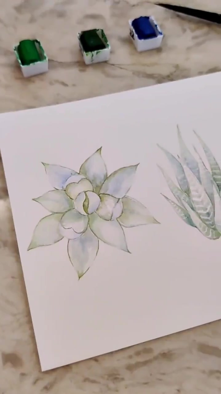 简单水彩画多肉,水彩,绘画