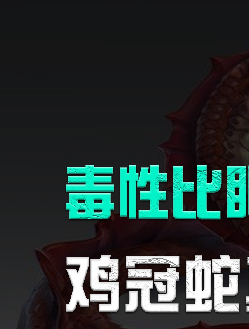 毒性比眼镜蛇还强的“鸡冠蛇”,头上还长着冠,它真的存在吗?