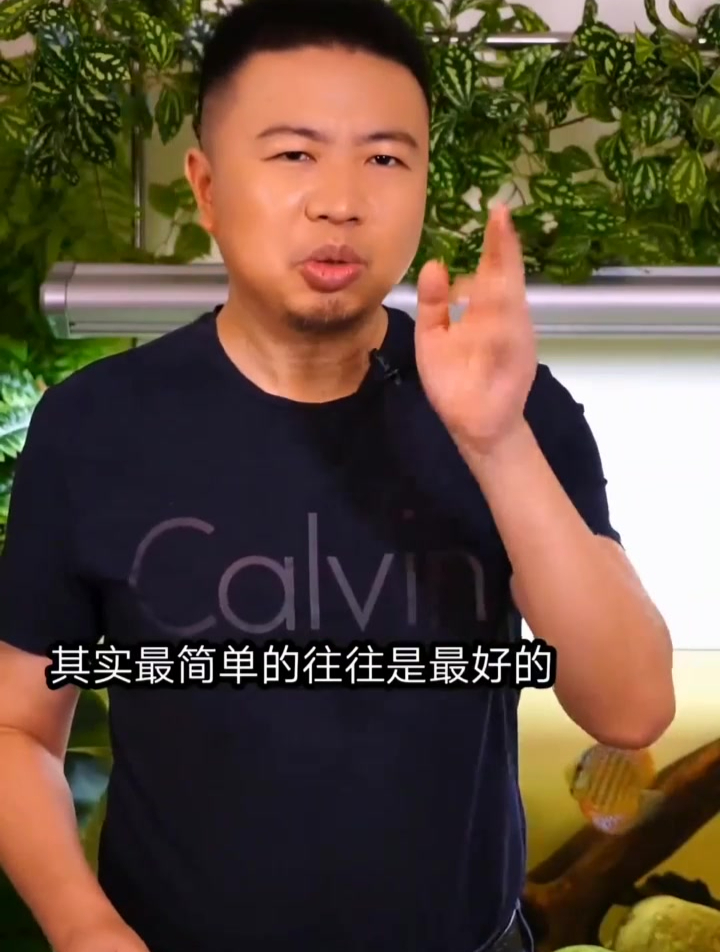 鱼缸哪种除藻方法最好下集 后面告诉你鱼缸长藻为什么是好事