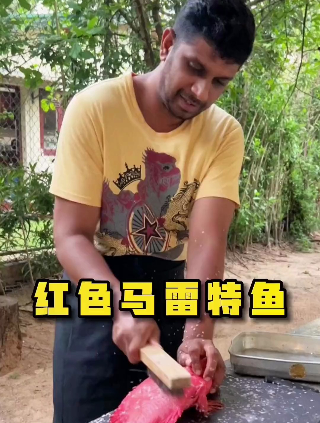 今天用红色马雷特鱼做了贵州烤鱼