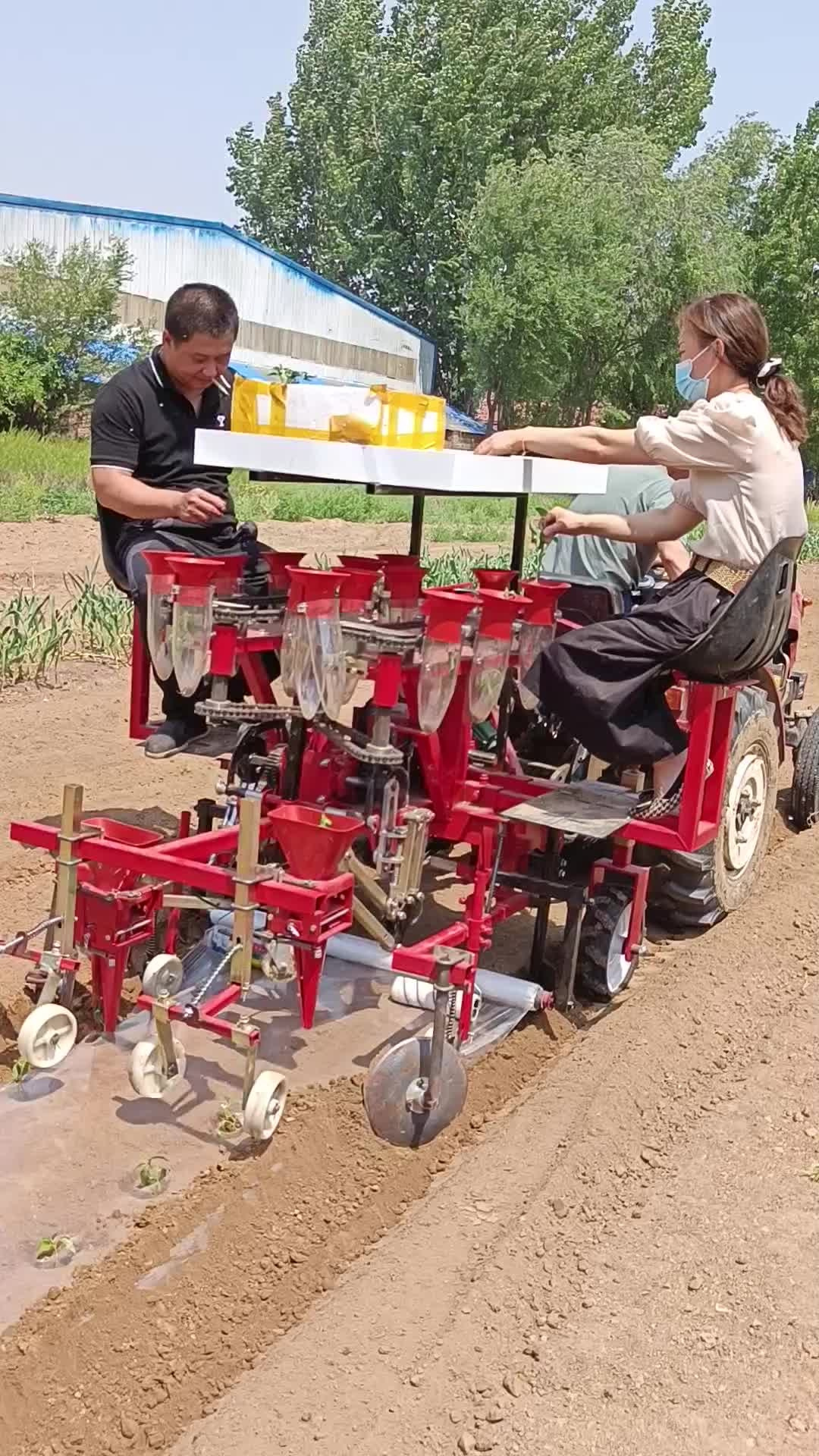 蔬菜移栽机和传统手工移栽相比,哪个更适合大规模农场?